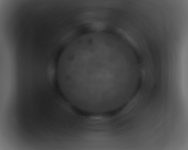 X0000101440745200807071402