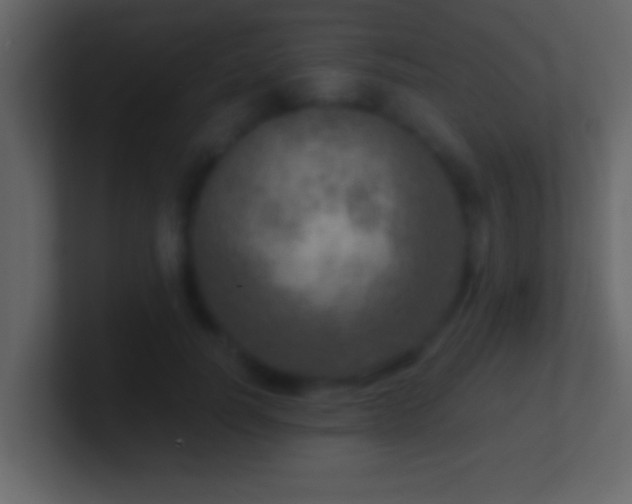 X0000101440746200807071402