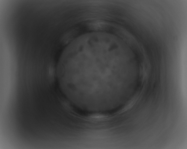 X0000101440749200807071402