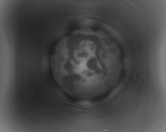 X0000101440753200807071402