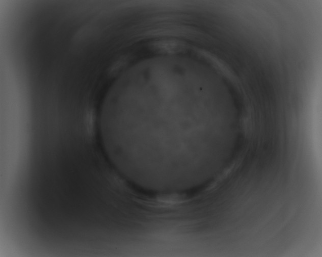 X0000101440757200807071402