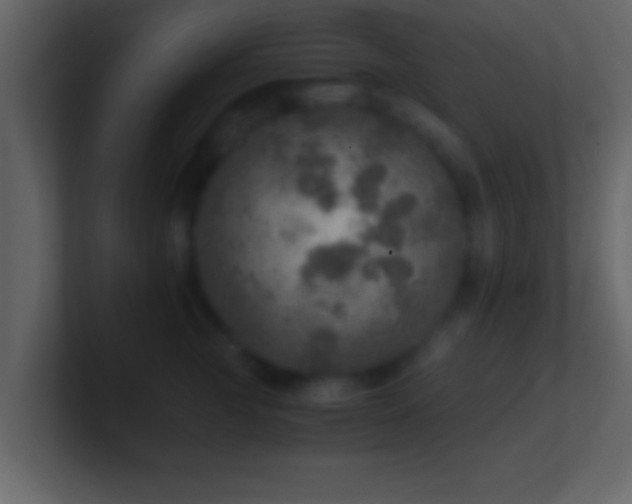 X0000101440761200807071402