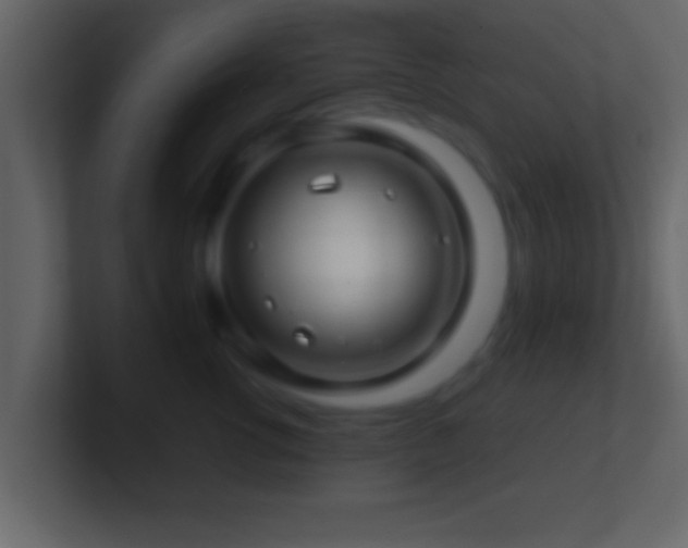 X0000101440762200807071402