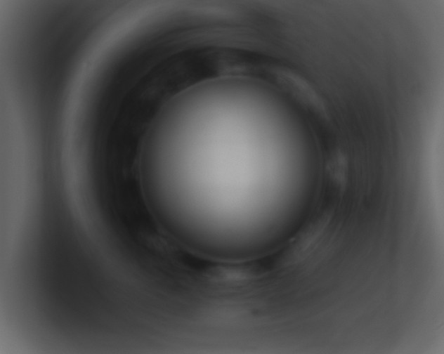 X0000101440763200807071402