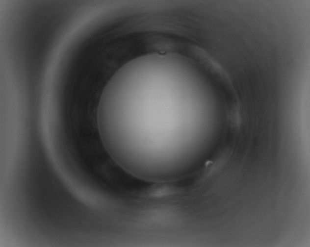 X0000101440764200807071402