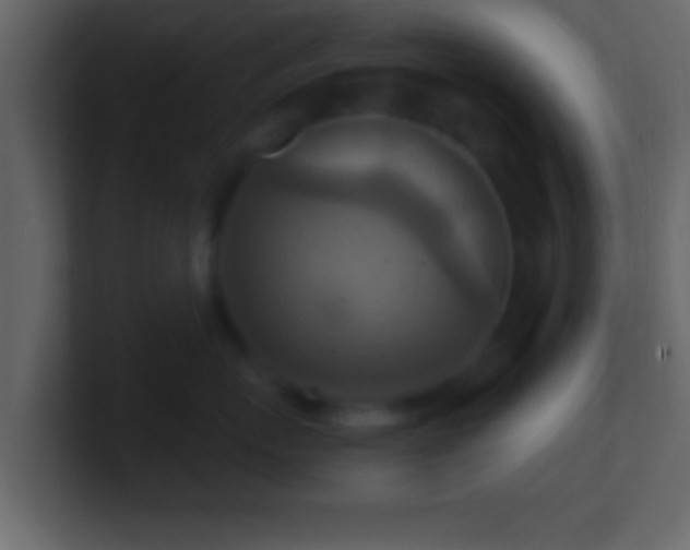 X0000101440767200807071402