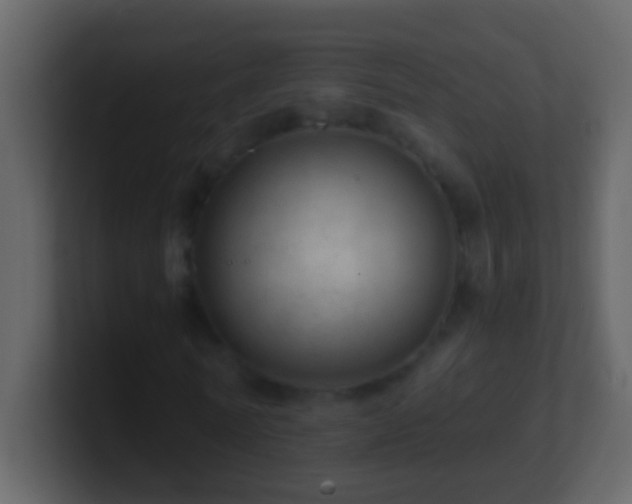 X0000101440770200807071402