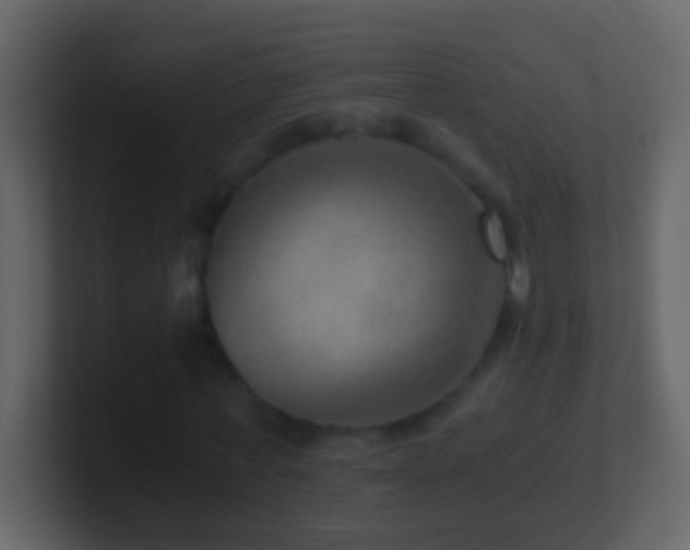 X0000101440771200807071402