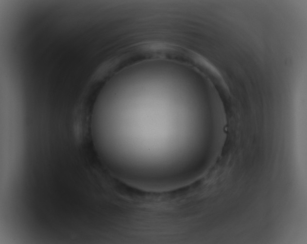 X0000101440775200807071402