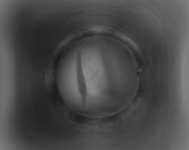 X0000101440776200807071402