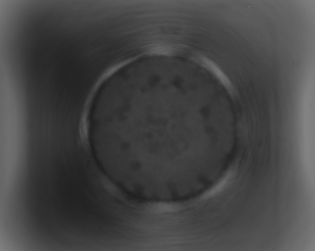 X0000101440779200807071402