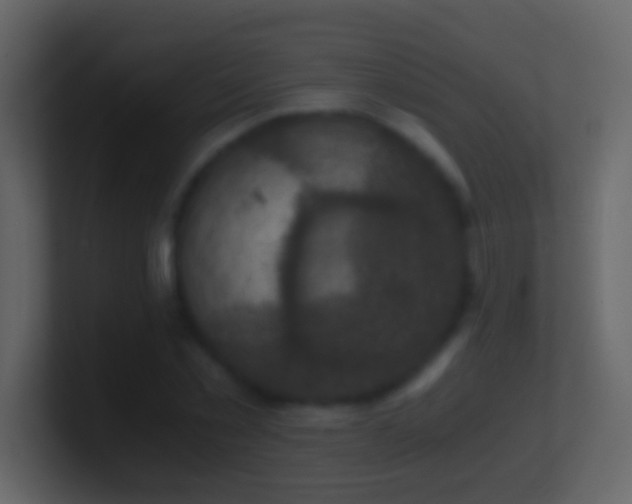 X0000101440781200807071402