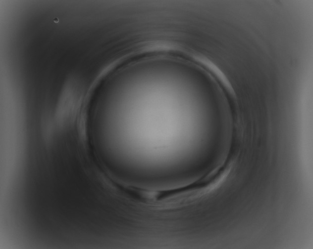 X0000101440783200807071402