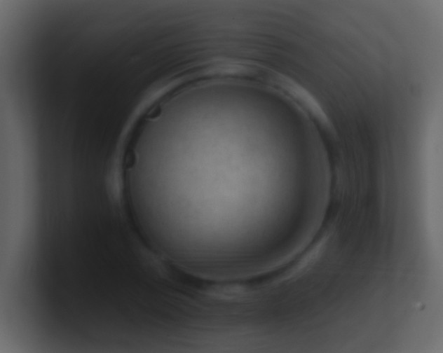 X0000101440784200807071401