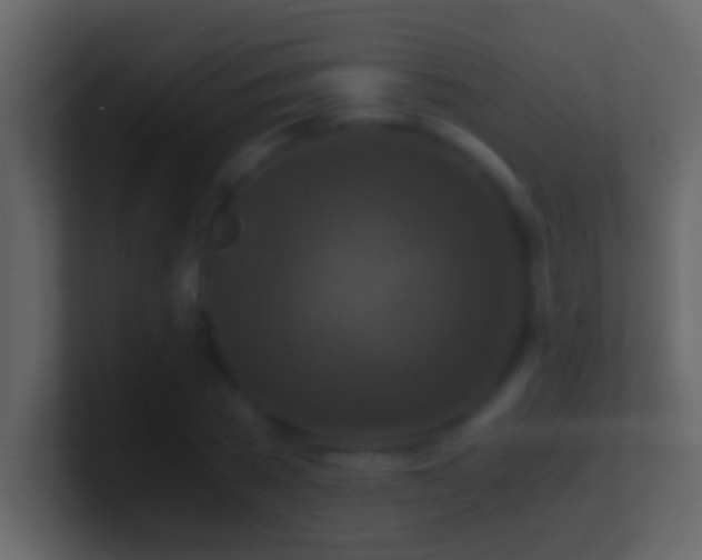 X0000101440785200807071401