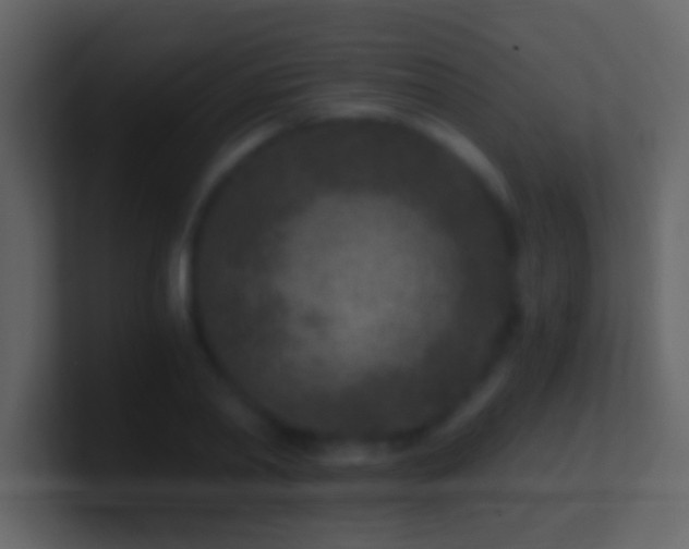 X0000101440790200807071401