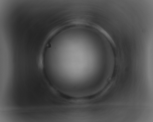 X0000101440791200807071401