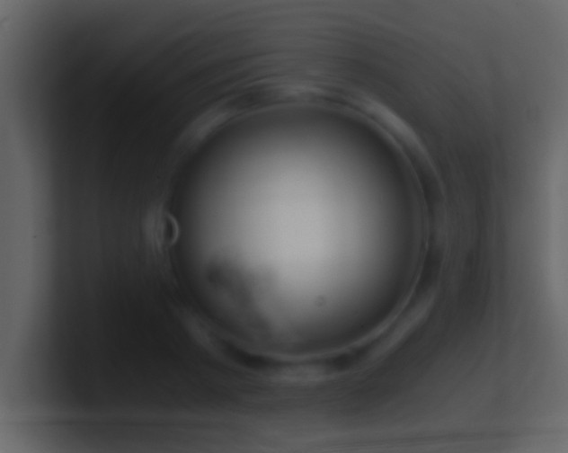 X0000101440793200807071401