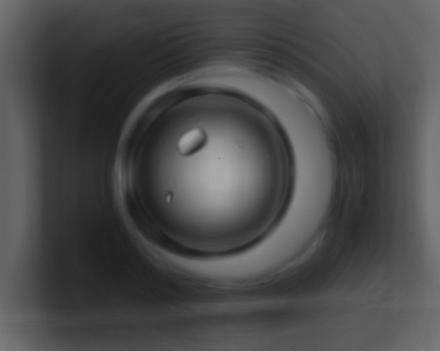 X0000101440796200807071401