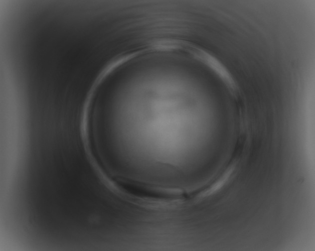 X0000101440803200807071401