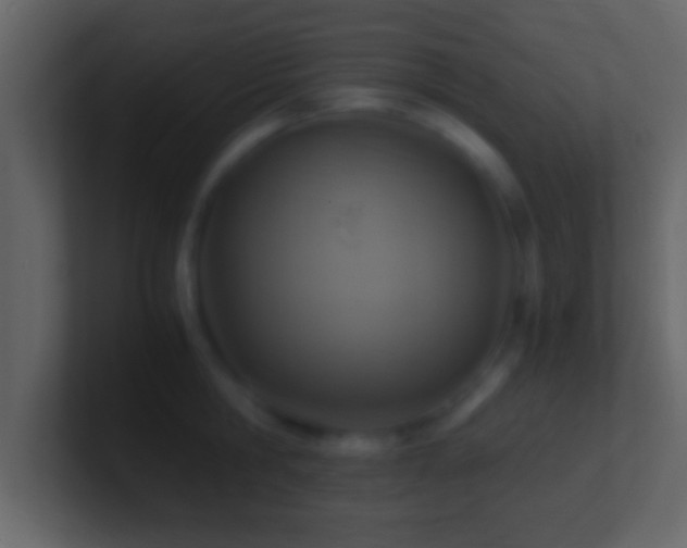 X0000101440806200807071401