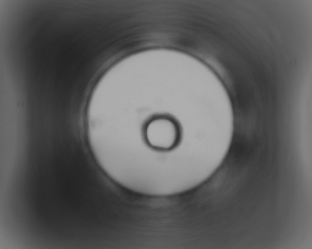 X0000101440807200807071401