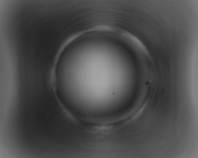 X0000101440808200807071401