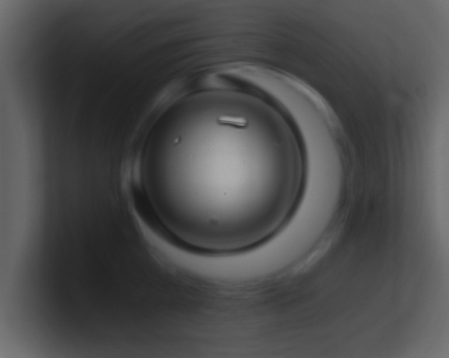 X0000101440809200807071401