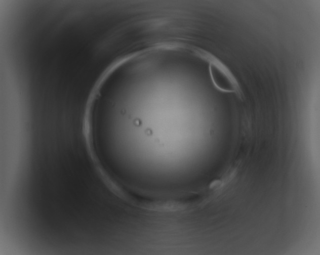 X0000101440811200807071401