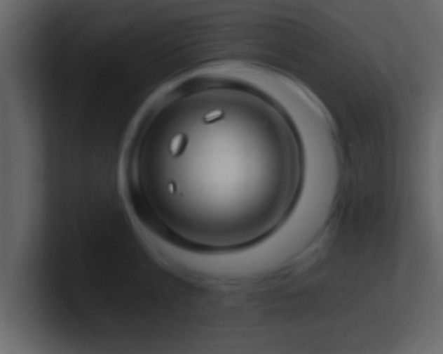 X0000101440813200807071401