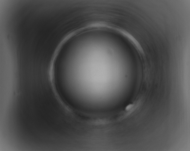 X0000101440815200807071401