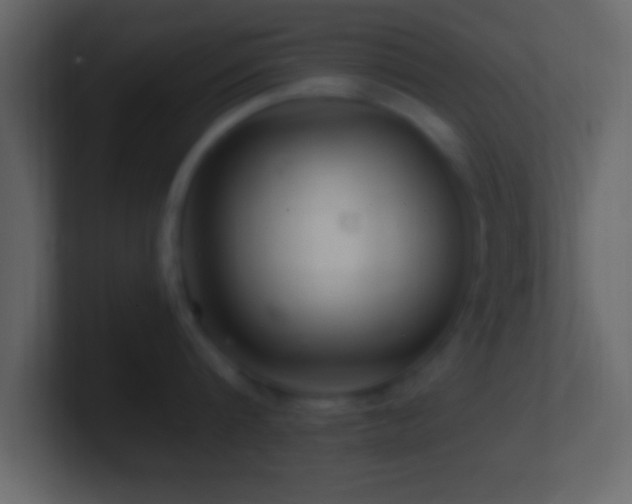 X0000101440816200807071401