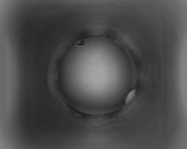 X0000101440817200807071400