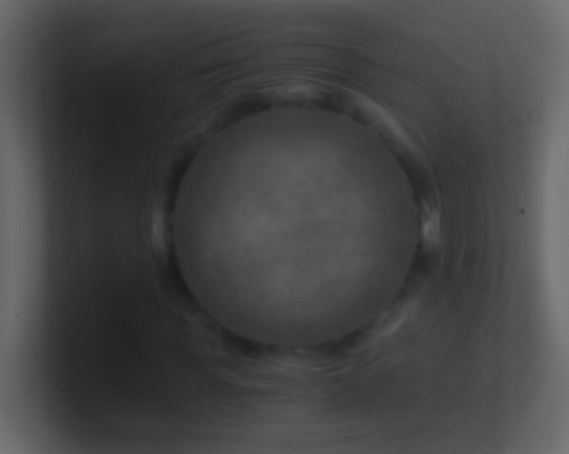 X0000101440819200807071400