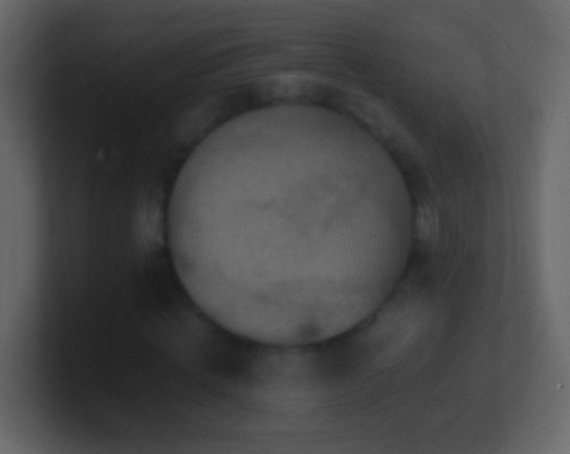 X0000101440820200807071400