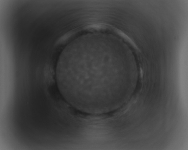 X0000101440822200807071401