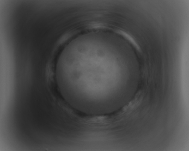 X0000101440823200807071401