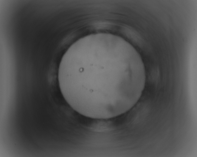 X0000101440824200807071401