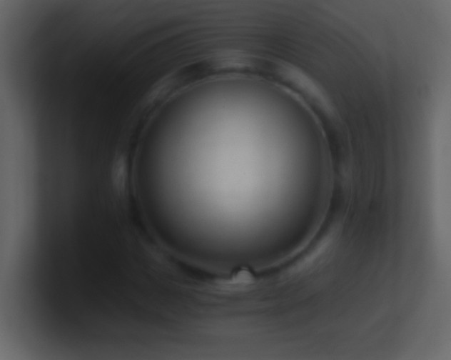 X0000101440825200807071401