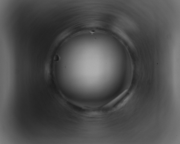 X0000101440826200807071401