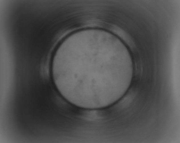 X0000101440828200807071401