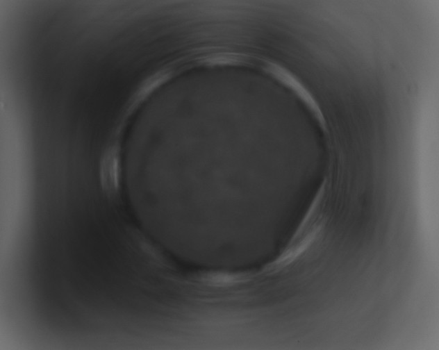 X0000101440829200807071401