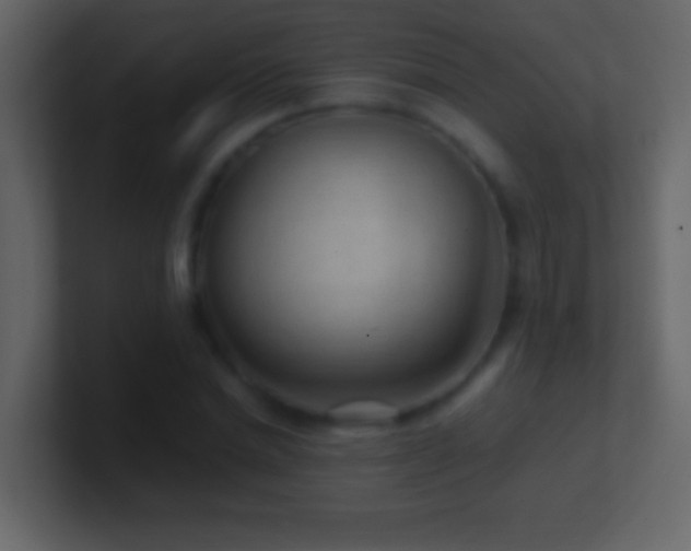 X0000101440830200807071401