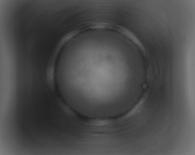 X0000101440831200807071401