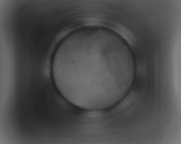 X0000101440832200807071401