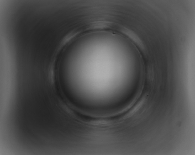 X0000101440834200807071401