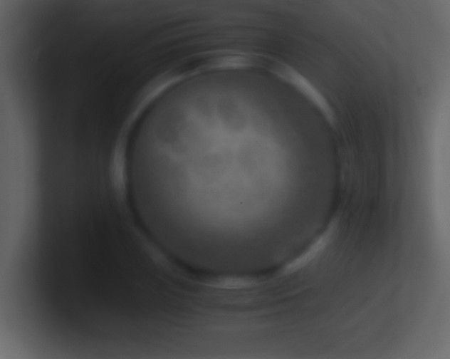 X0000101440835200807071401