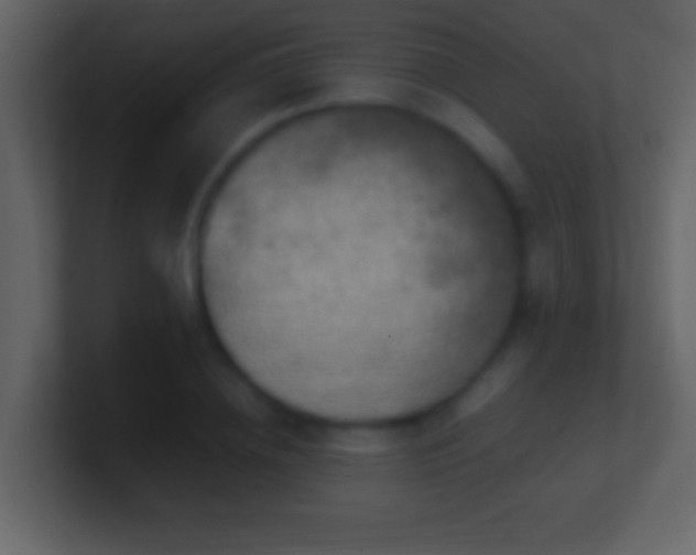 X0000101440836200807071401