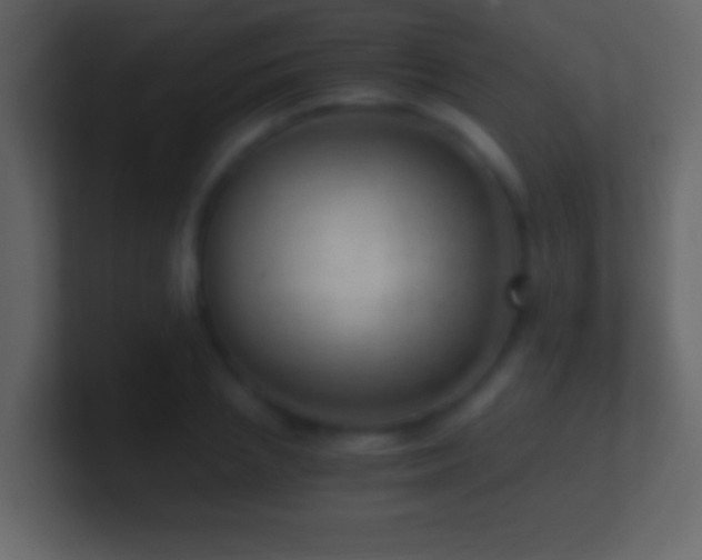 X0000101440837200807071401