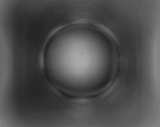 X0000101440838200807071401